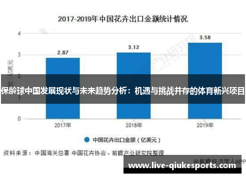 保龄球中国发展现状与未来趋势分析：机遇与挑战并存的体育新兴项目