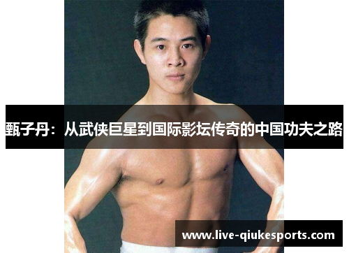 甄子丹：从武侠巨星到国际影坛传奇的中国功夫之路