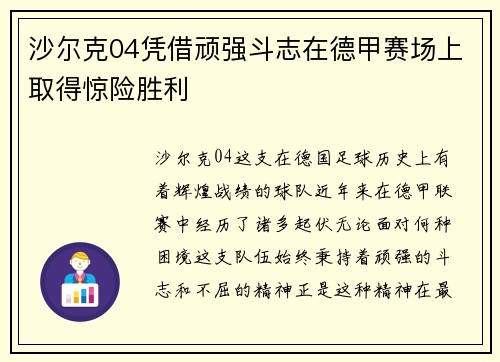沙尔克04凭借顽强斗志在德甲赛场上取得惊险胜利